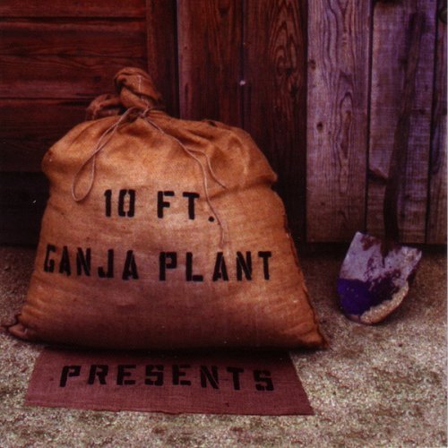 10 Ft. Ganja Plant - Why Can't They Tell Us The Good News